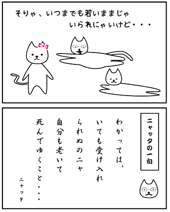 f:id:nya-nya-san:20170815143320p:plain