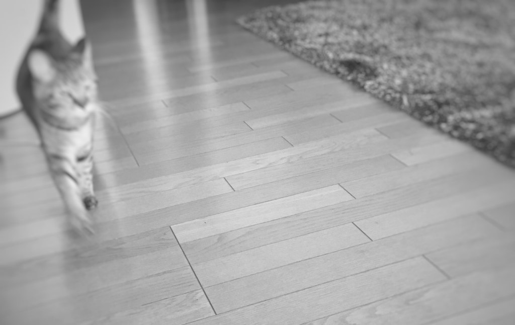 f:id:nya222:20181012232101j:plain