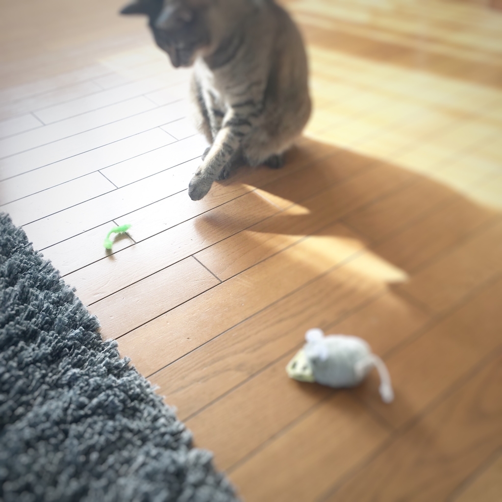 f:id:nya222:20181125015337j:plain