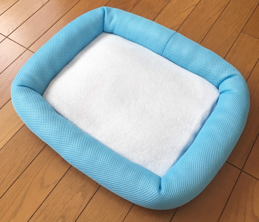猫の暑さ対策】猫にひんやりマットを使ってもらうコツ。 - 新しいこと