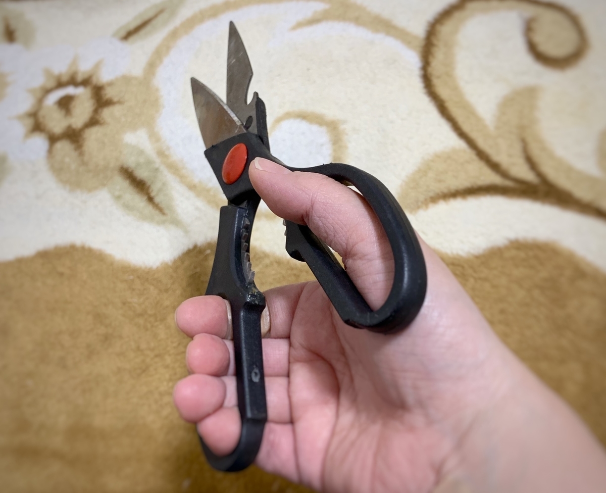 カーペットを2枚捨てました ハサミを入れるのが悲しかった 可燃ゴミと不燃ゴミの違いってなんだ 新しいことを少しずつ