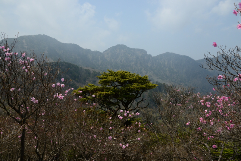 f:id:nya5656:20130522121235j:image