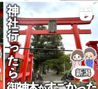 f:id:nya7moon:20241025121210j:image f:id:nya7moon:20241025121210j:image