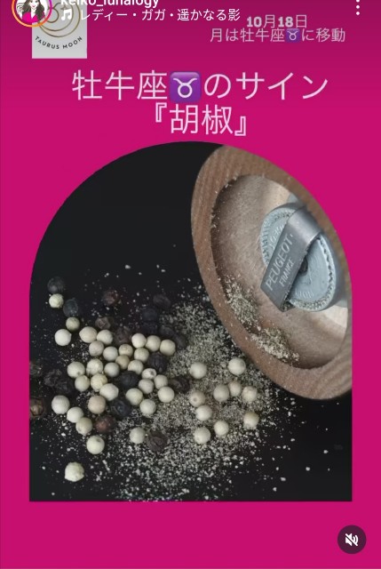 f:id:nya7moon:20241025122333j:image f:id:nya7moon:20241025122333j:image