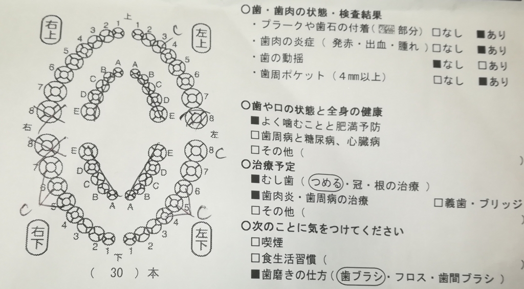 f:id:nya_i:20180521213830j:plain f:id:nya_i:20180521213830j:plain