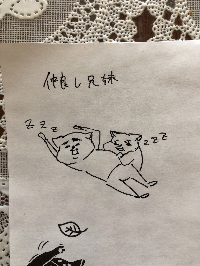 f:id:nya_naonoshin:20181018145350j:image f:id:nya_naonoshin:20181018145350j:image