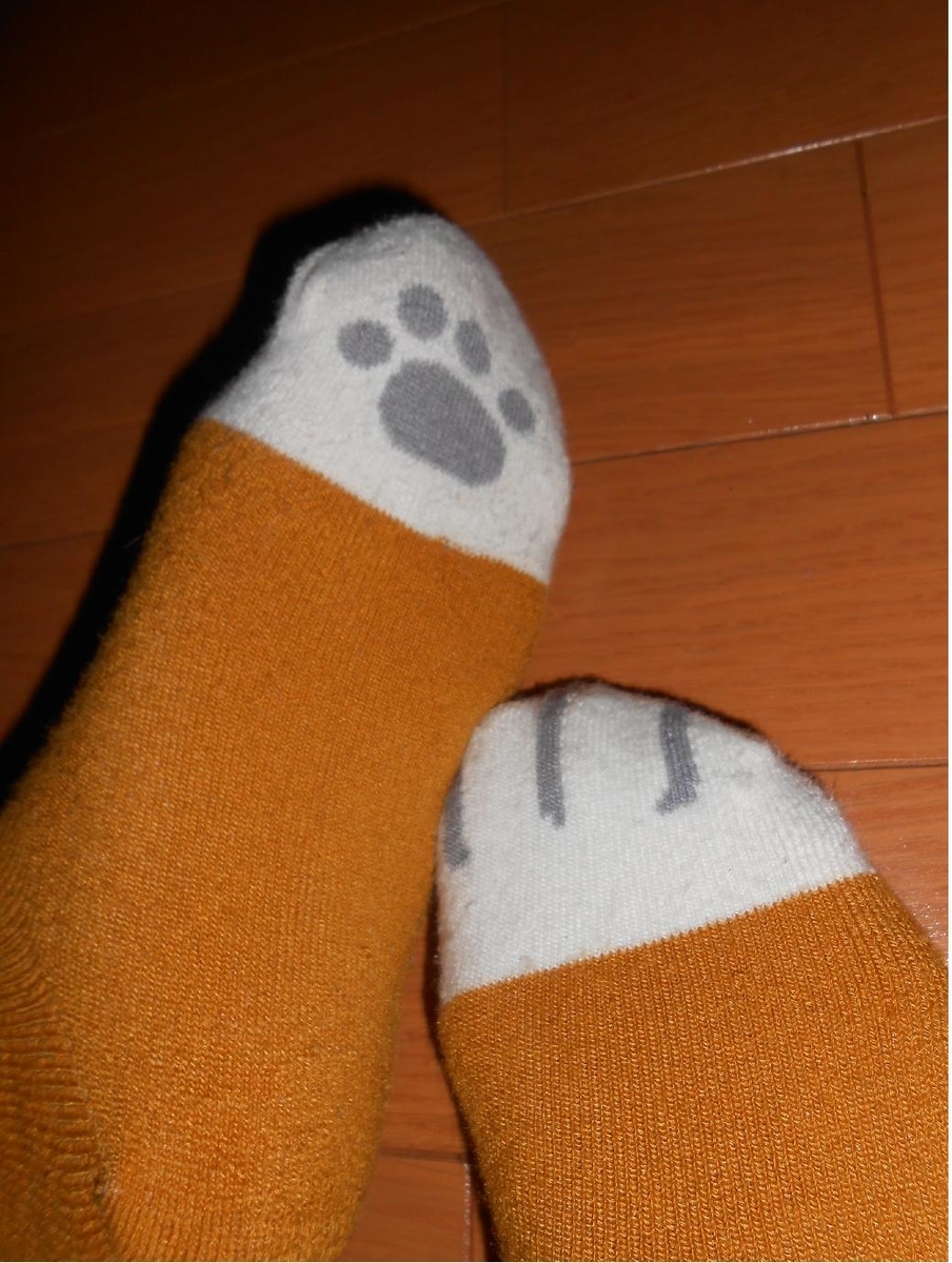 猫足　肉球