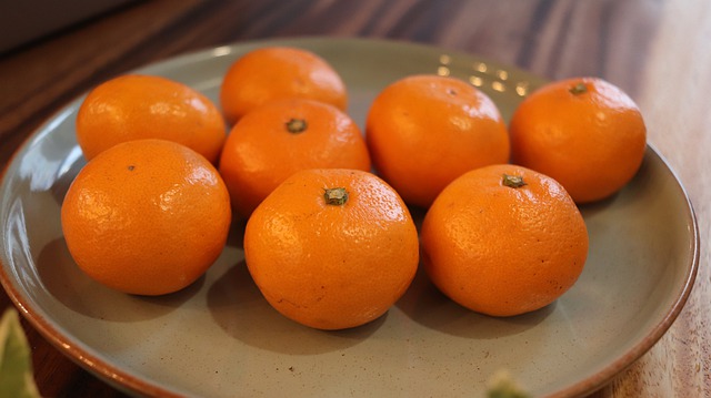 f:id:nyaasa:20201204223529j:plain