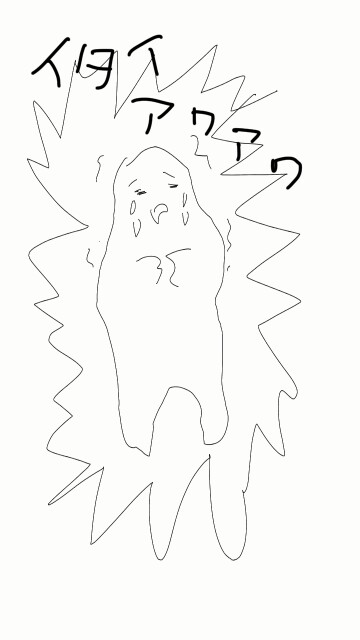 f:id:nyabeko:20170210180451j:image f:id:nyabeko:20170210180451j:image