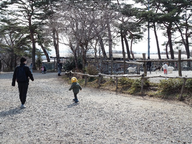 f:id:nyabeko:20200212222927j:image f:id:nyabeko:20200212222927j:image