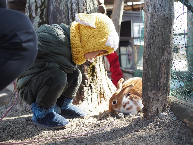 f:id:nyabeko:20200730152042j:image f:id:nyabeko:20200730152042j:image