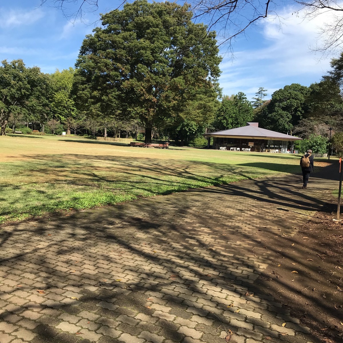 併願校を紹介 麗澤中学 高等学校 給食バンザイ Itママの Run Run Sapix そして中学へ