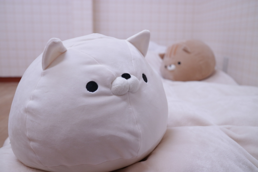 f:id:nyachiko07:20180204190214j:plain