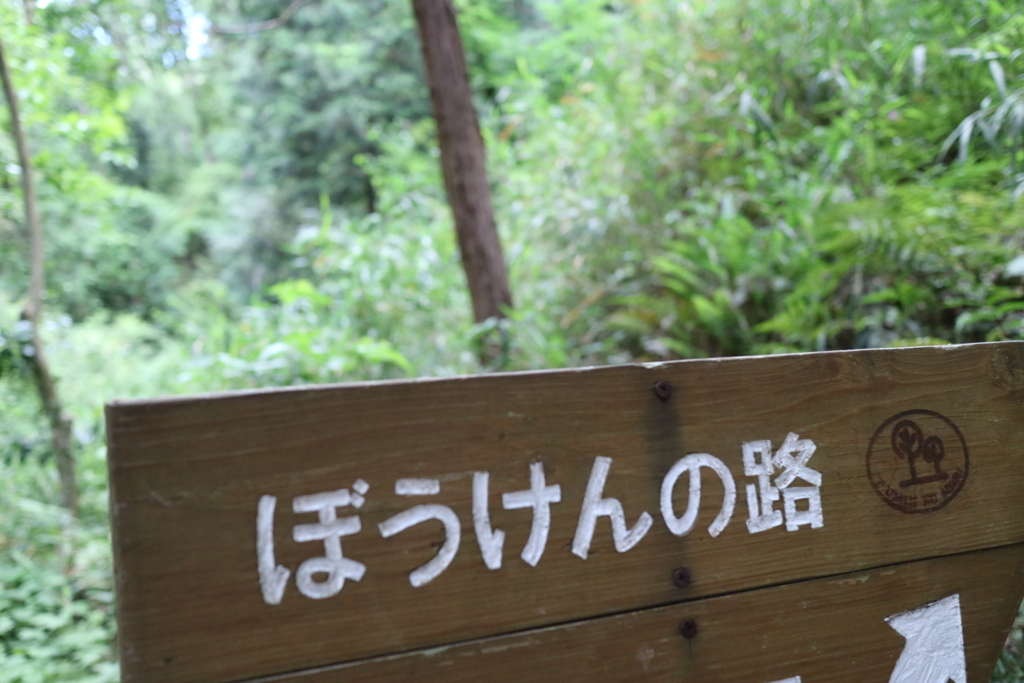 f:id:nyachiko07:20180322145803j:plain