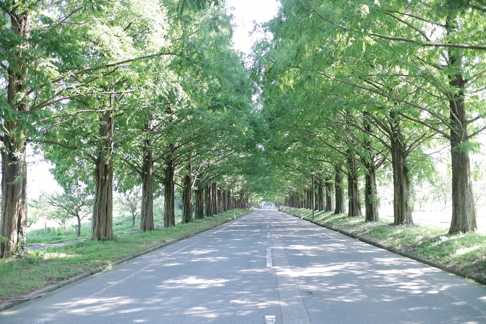 f:id:nyachiko07:20180322150338j:plain