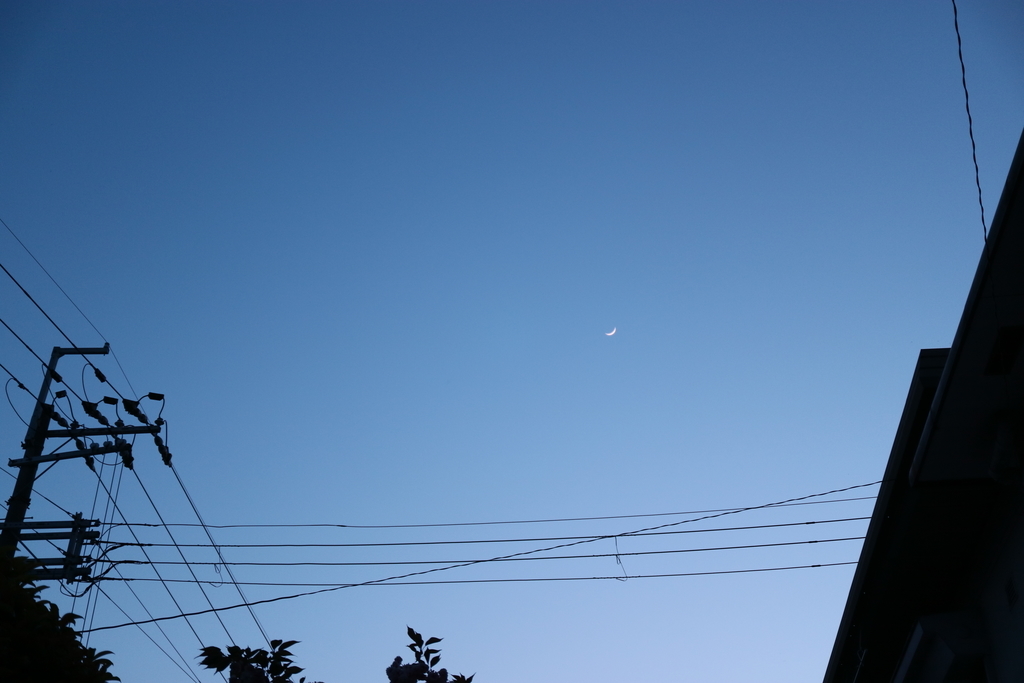 f:id:nyachiko07:20181211220640j:plain