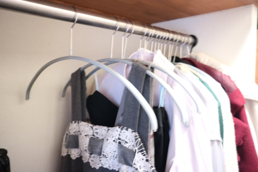 f:id:nyachiko07:20190103215358j:plain f:id:nyachiko07:20190103215358j:plain