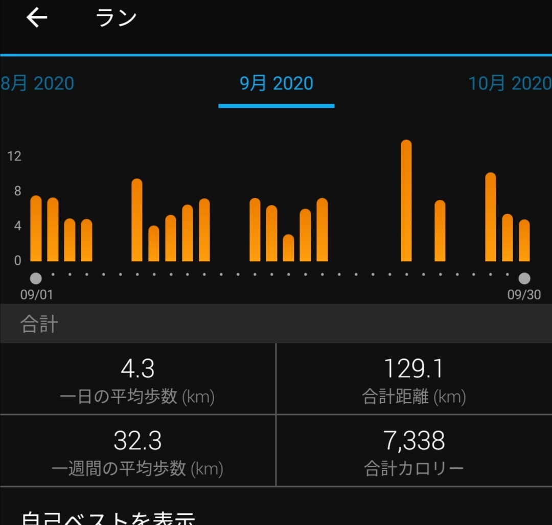 f:id:nyafa1024:20201003013005j:plain