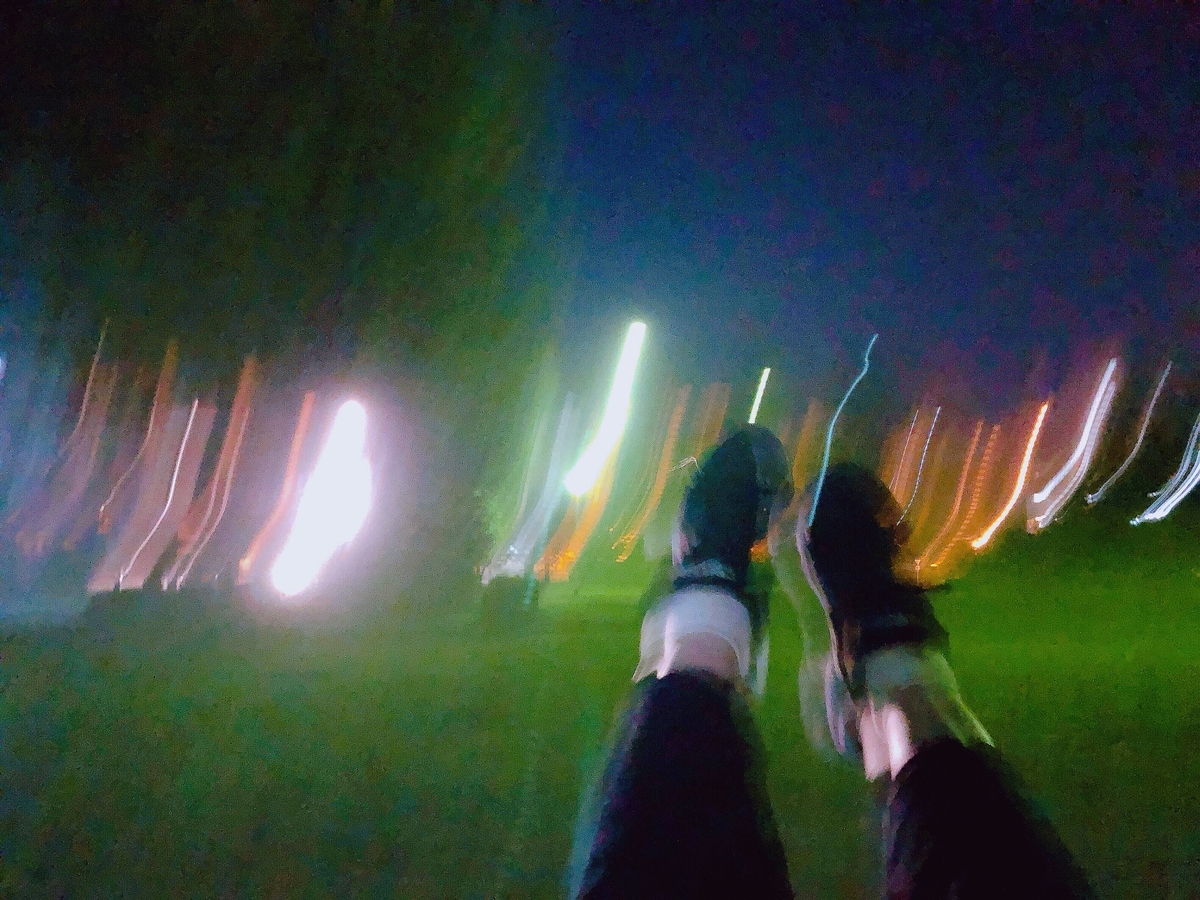 f:id:nyahoooonyyy:20190915150542j:plain f:id:nyahoooonyyy:20190915150542j:plain
