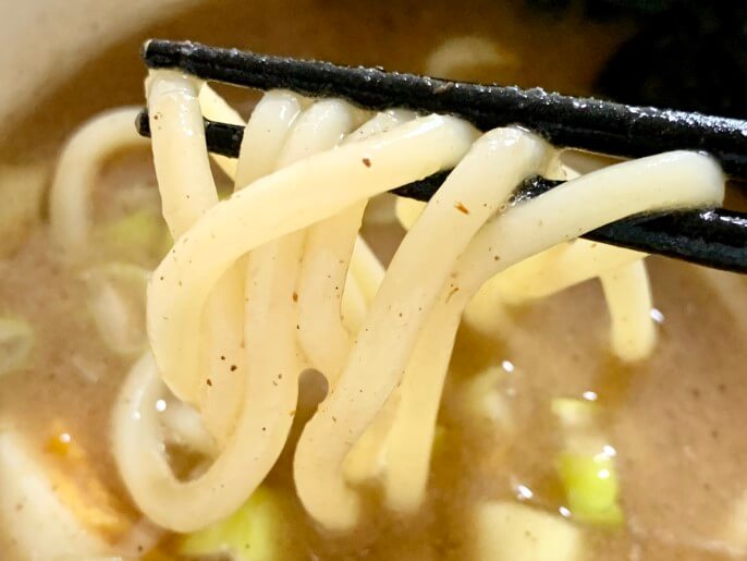 頑者 通販 宅麺 つけめん 麺＆スープ