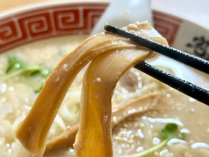 一乃胡 通販 お取り寄せ 宅麺 ごまらーめん メンマ