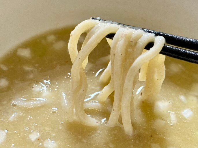 麺堂イズム 通販 お取り寄せ 宅麺 イムズのつけ麺（塩） 麺とスープ