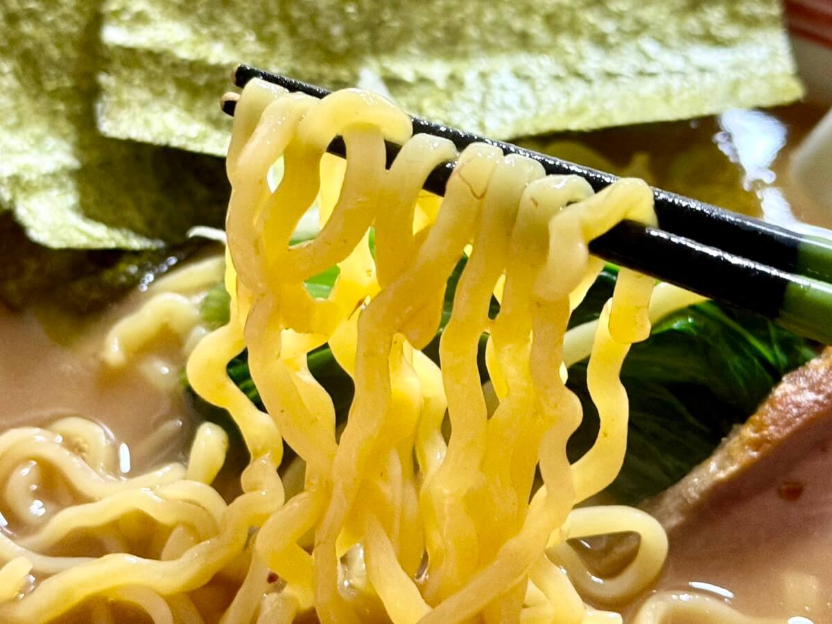 麺の写真