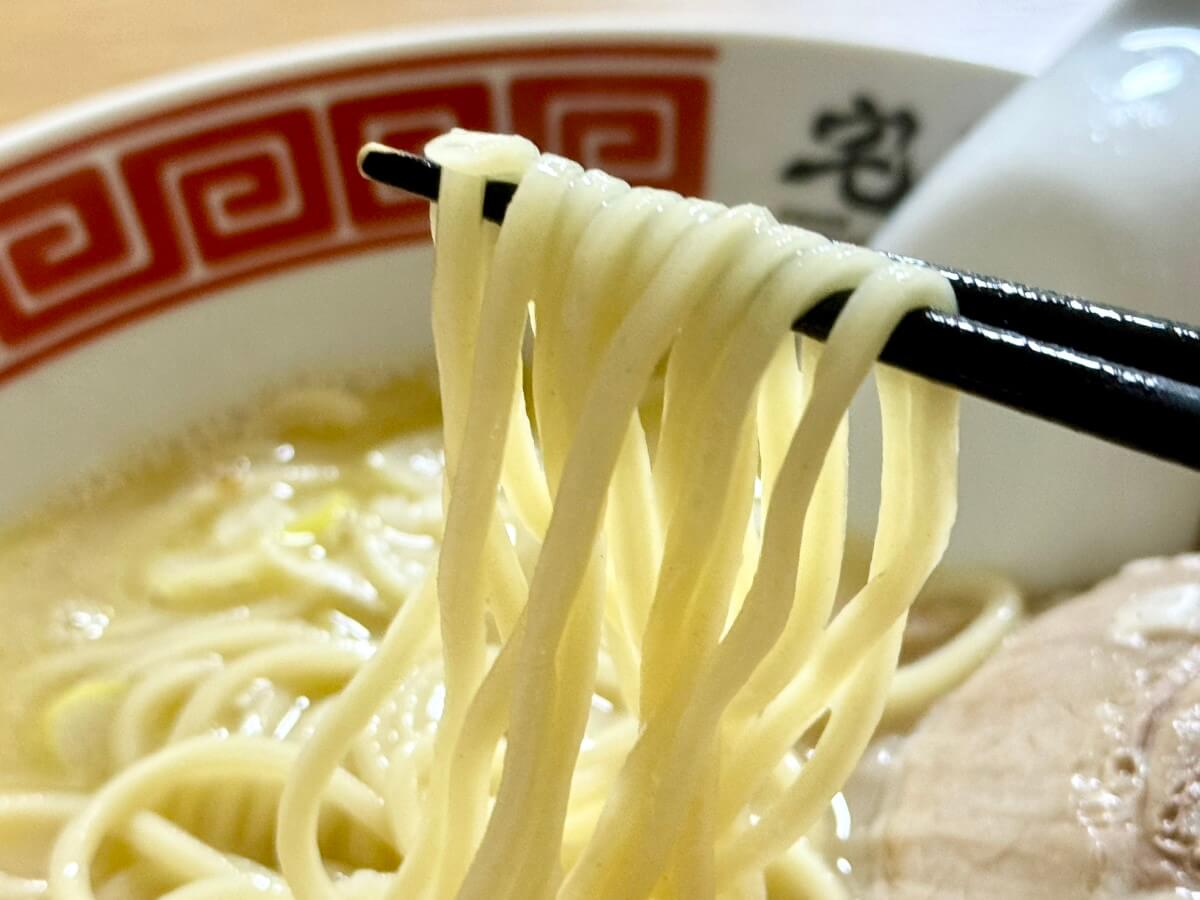 麺の写真