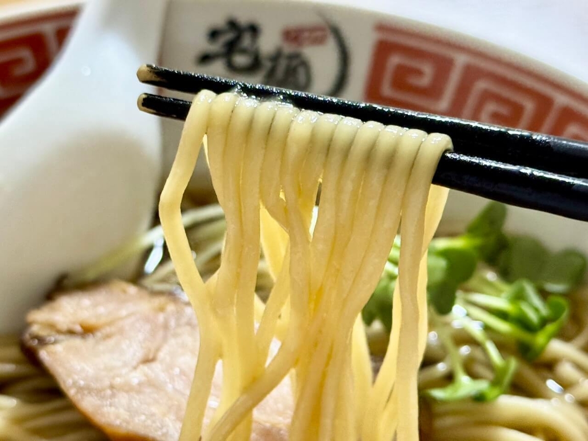麺の写真