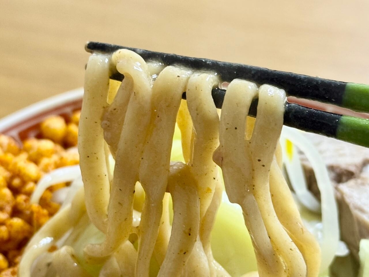 麺の写真