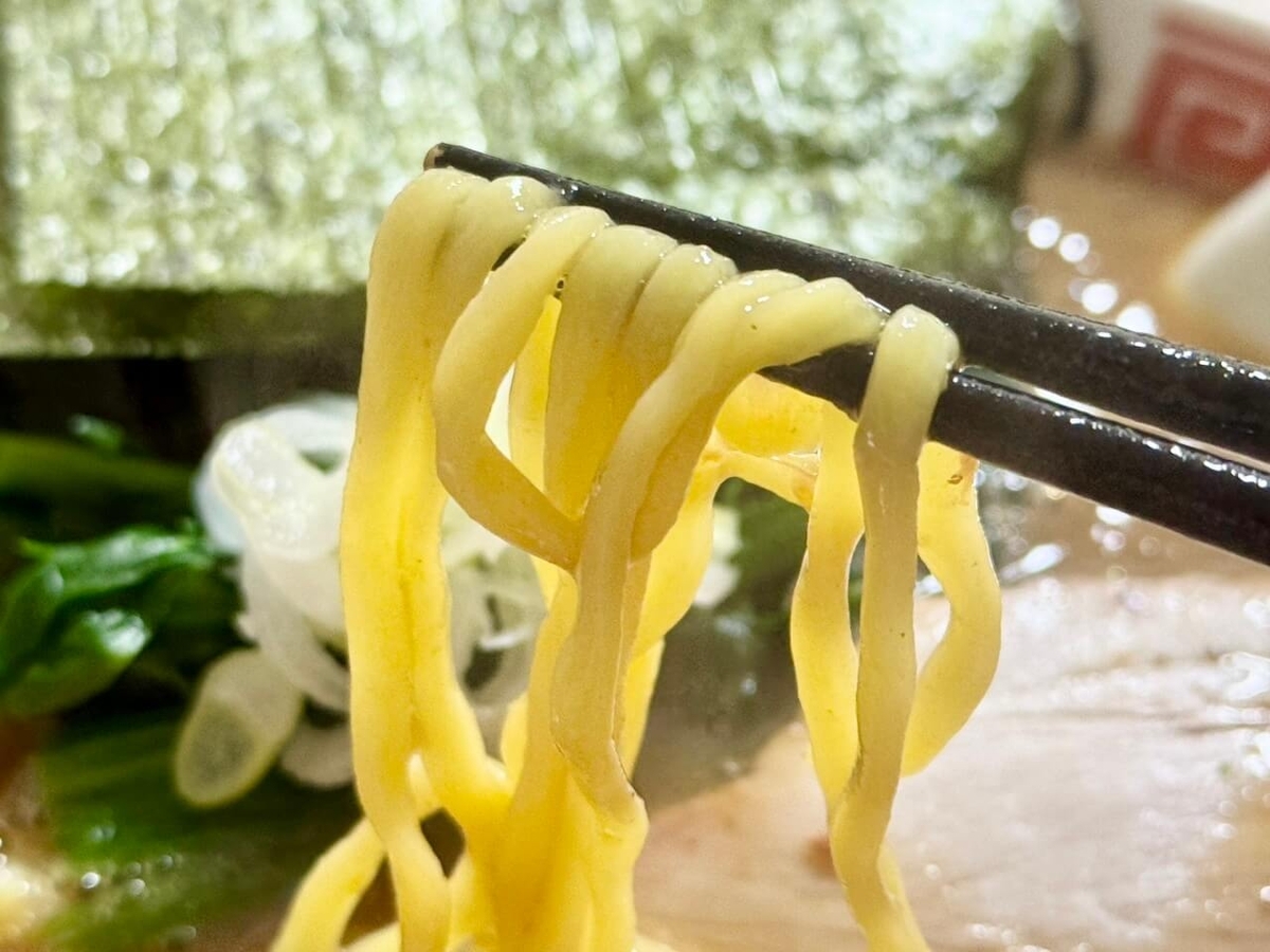 麺の写真