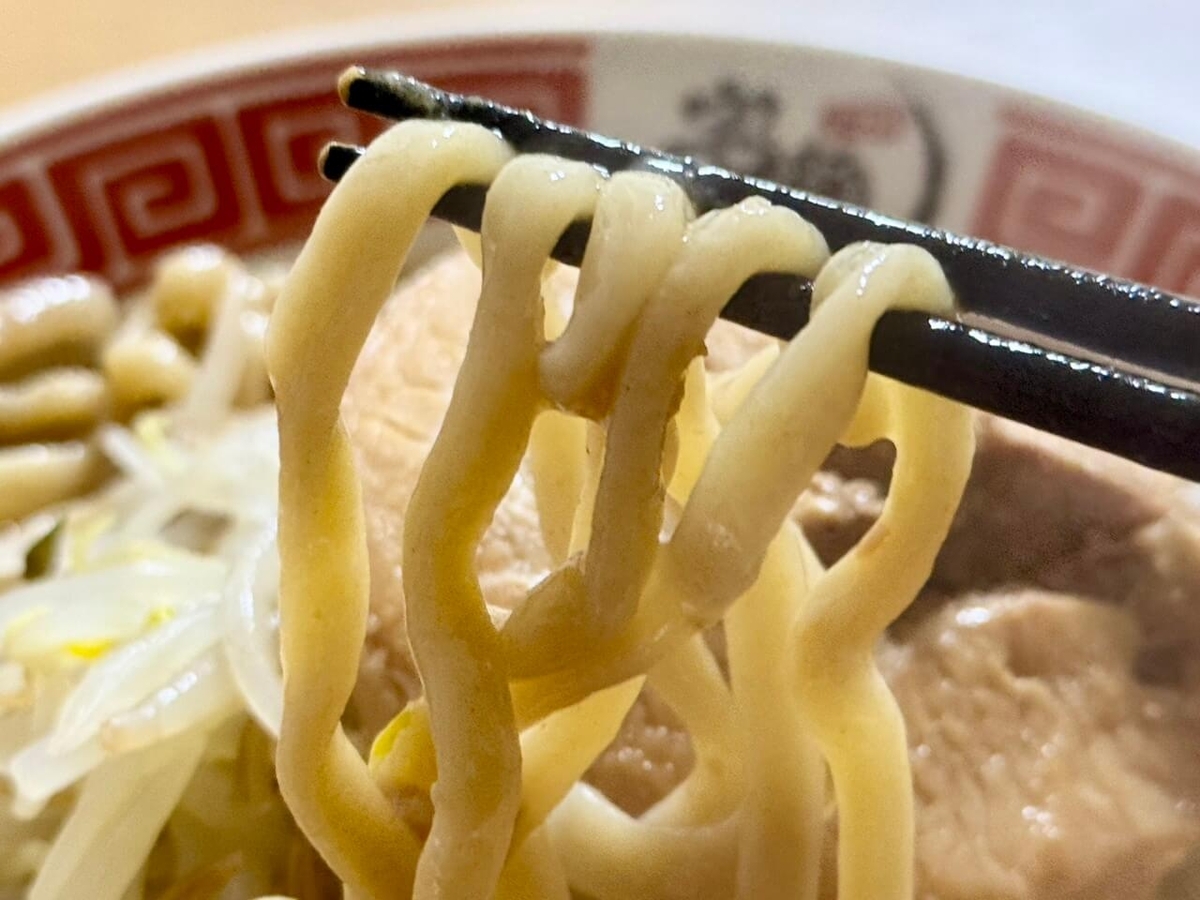 麺の写真