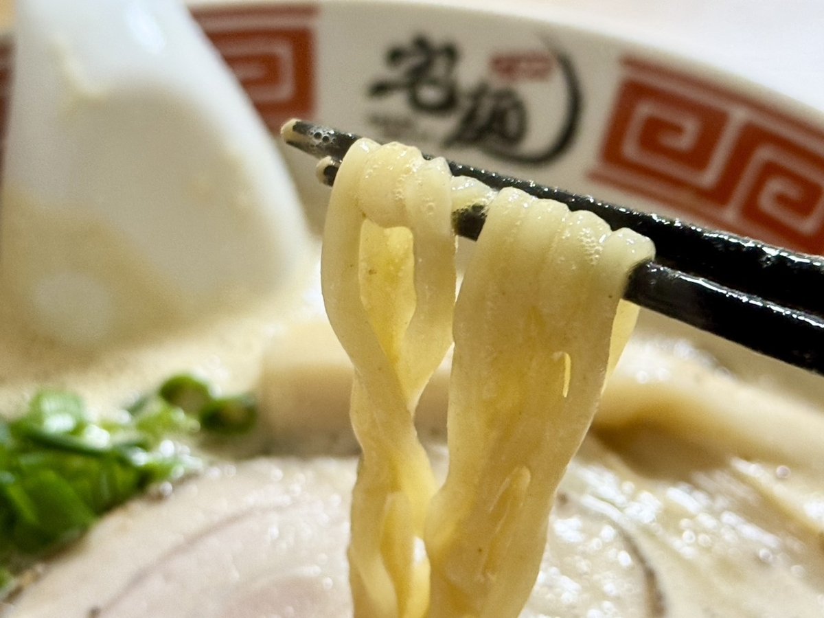 麺の写真