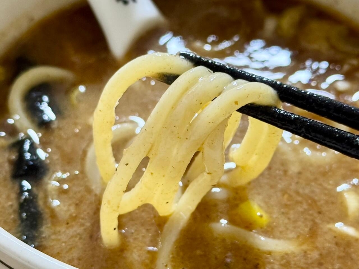 麺とスープの写真