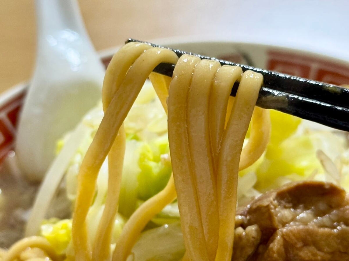 麺の写真