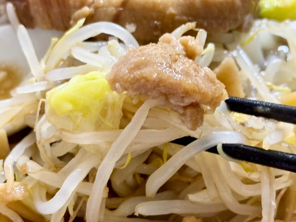 背脂と野菜の写真