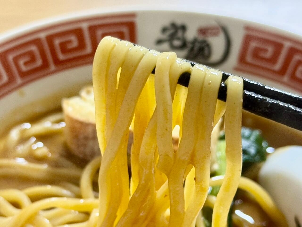麺の写真