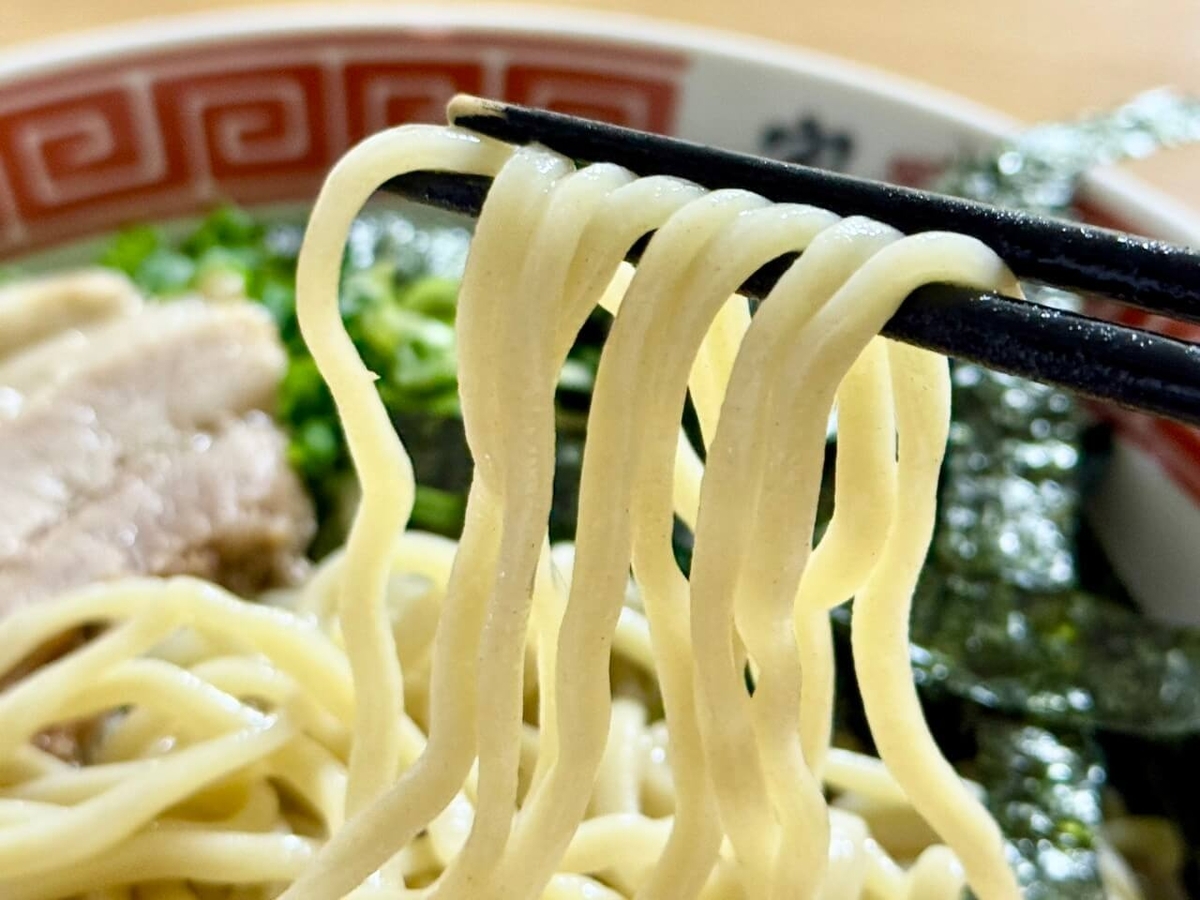麺の写真