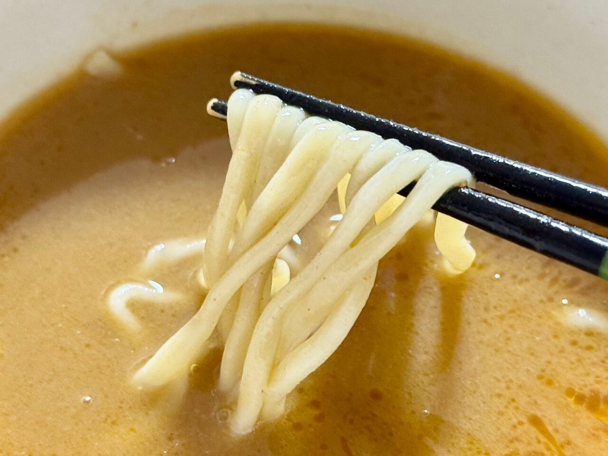 麺とスープの写真