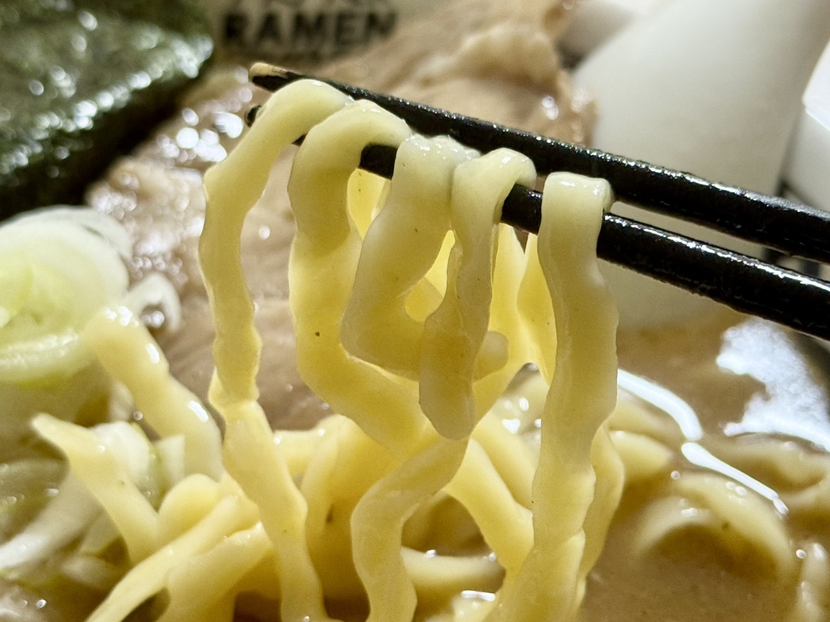 麺の写真