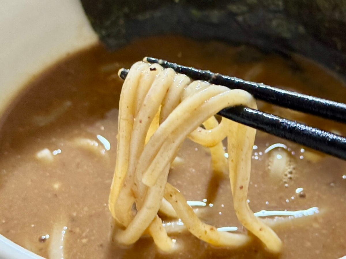 麺とスープの写真