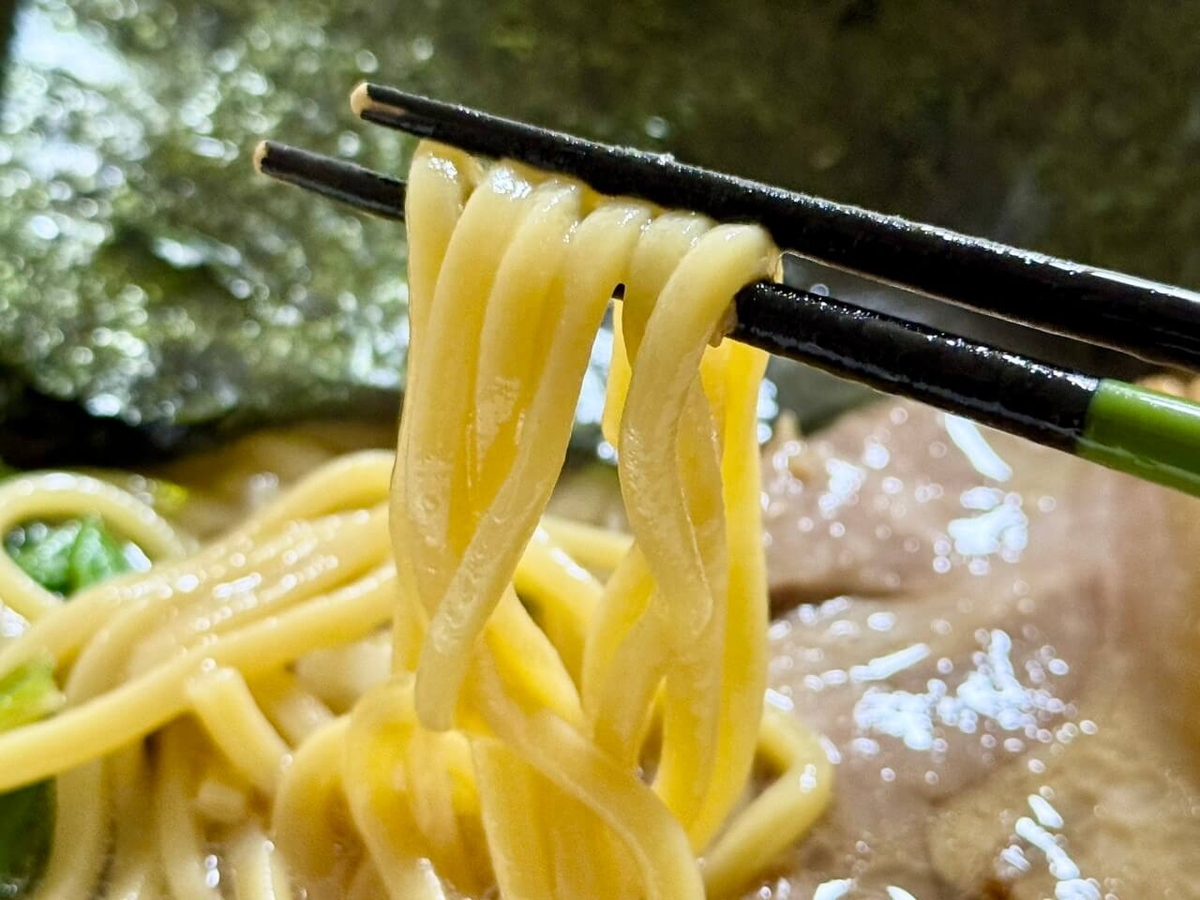 麺の写真