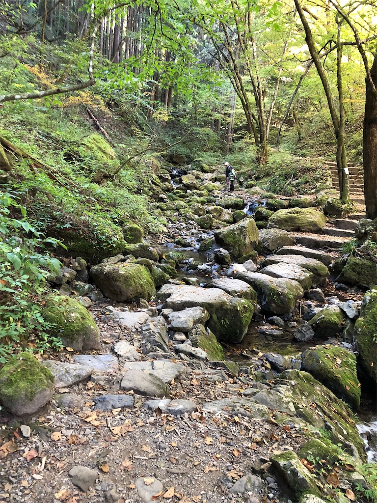 f:id:nyakadai:20181031212032j:image f:id:nyakadai:20181031212032j:image
