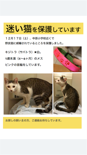 f:id:nyakoh3:20170213010122p:image