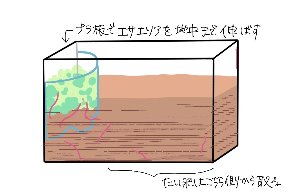 f:id:nyakohan:20210307152759j:plain