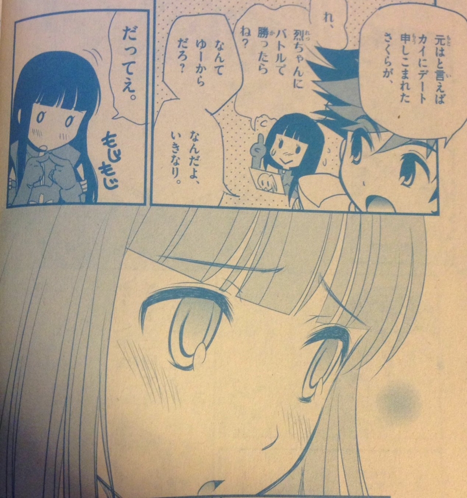 f:id:nyalra:20161116201748j:plain