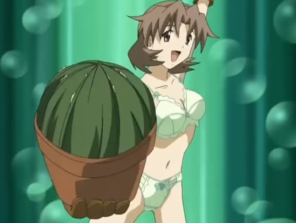 f:id:nyalra:20170913210417j:plain