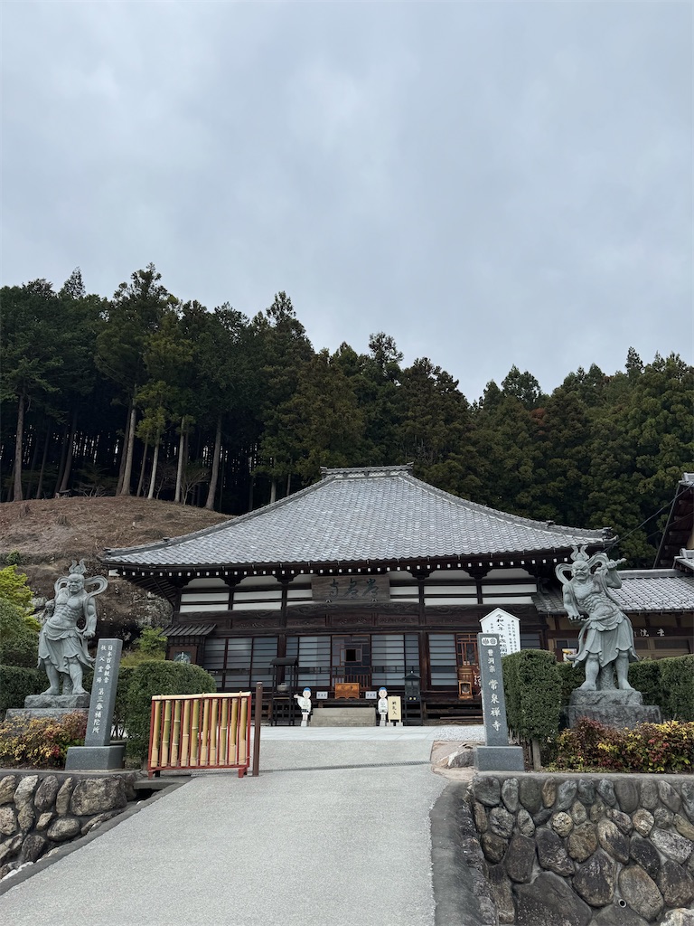 f:id:nyamisan:20260524073542j:image f:id:nyamisan:20260524073542j:image