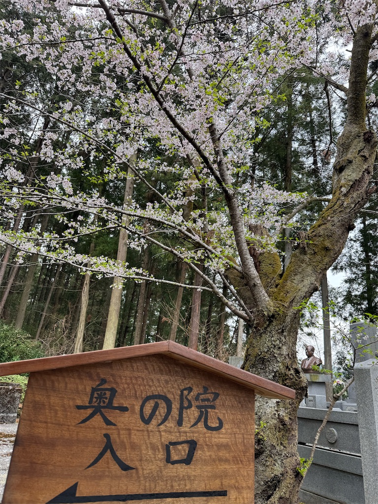 f:id:nyamisan:20260526004537j:image f:id:nyamisan:20260526004537j:image