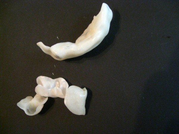 f:id:nyamix:20110222020206j:image:w230 f:id:nyamix:20110222020206j:image:w230